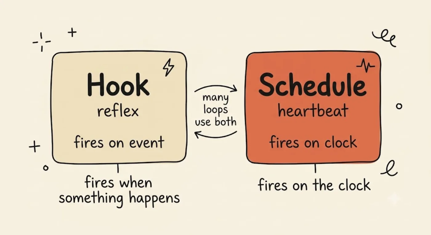 A two-column comparison — a sand Hook / reflex card that fires on an event versus a highlighted orange Schedule / heartbeat card that fires on the clock — with a note that many loops use both.